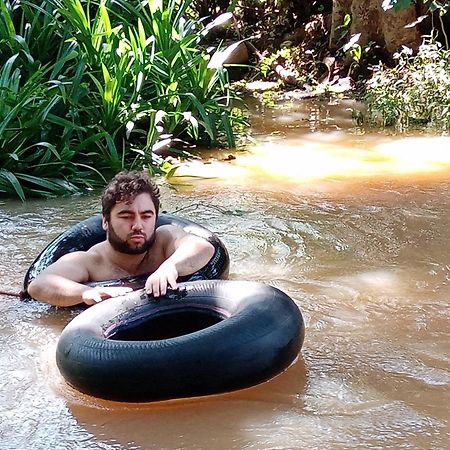 Sigiri Royal Point Tree House Hotell Sigiriya Rum bild