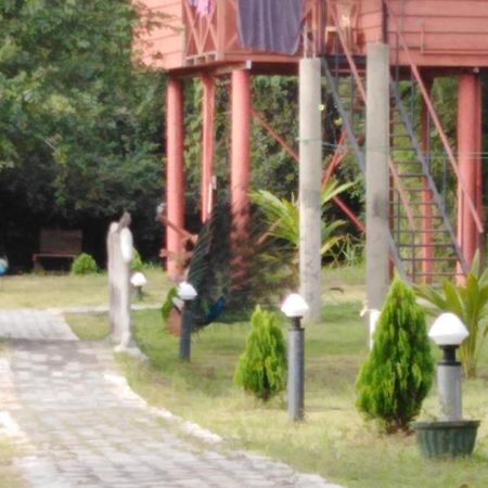 Sigiri Royal Point Tree House Hotell Sigiriya Exteriör bild