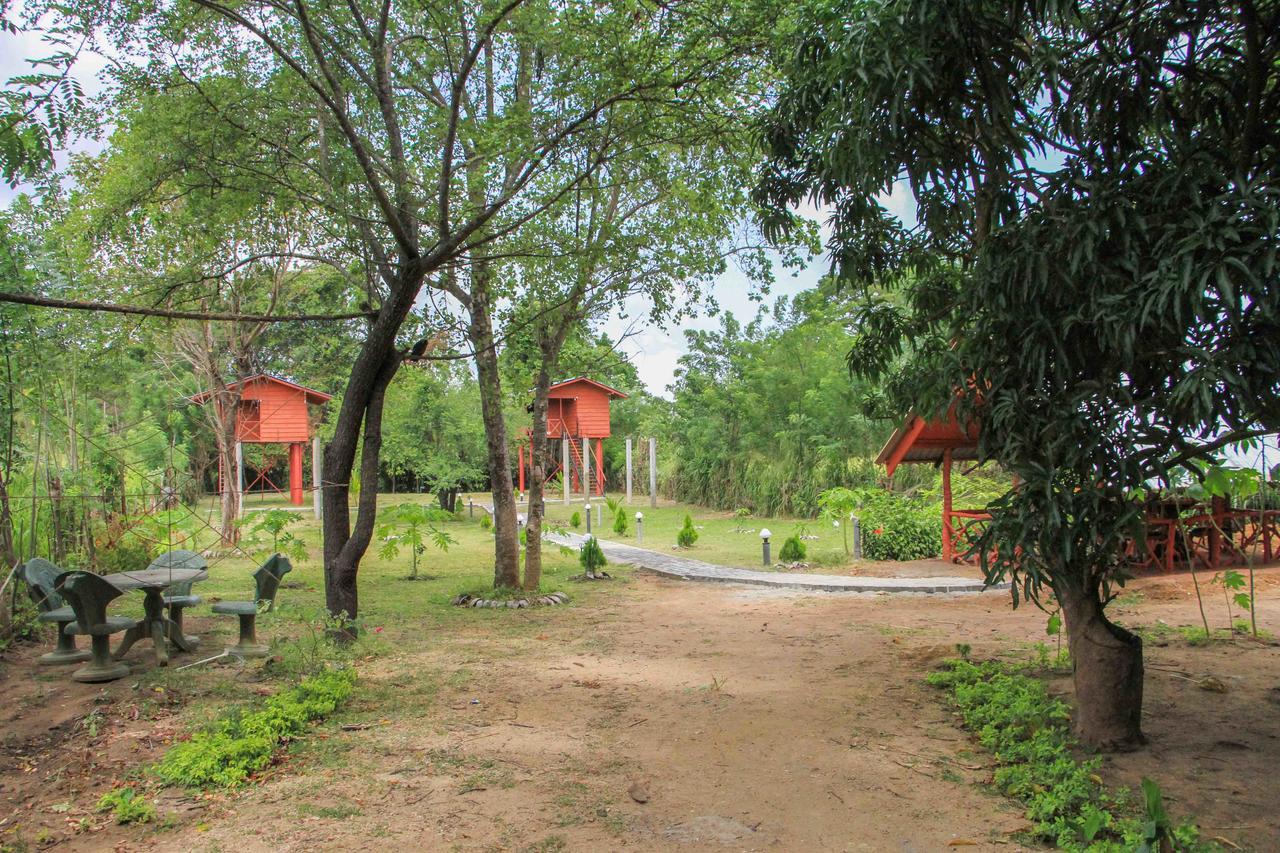 Sigiri Royal Point Tree House Hotell Sigiriya Exteriör bild