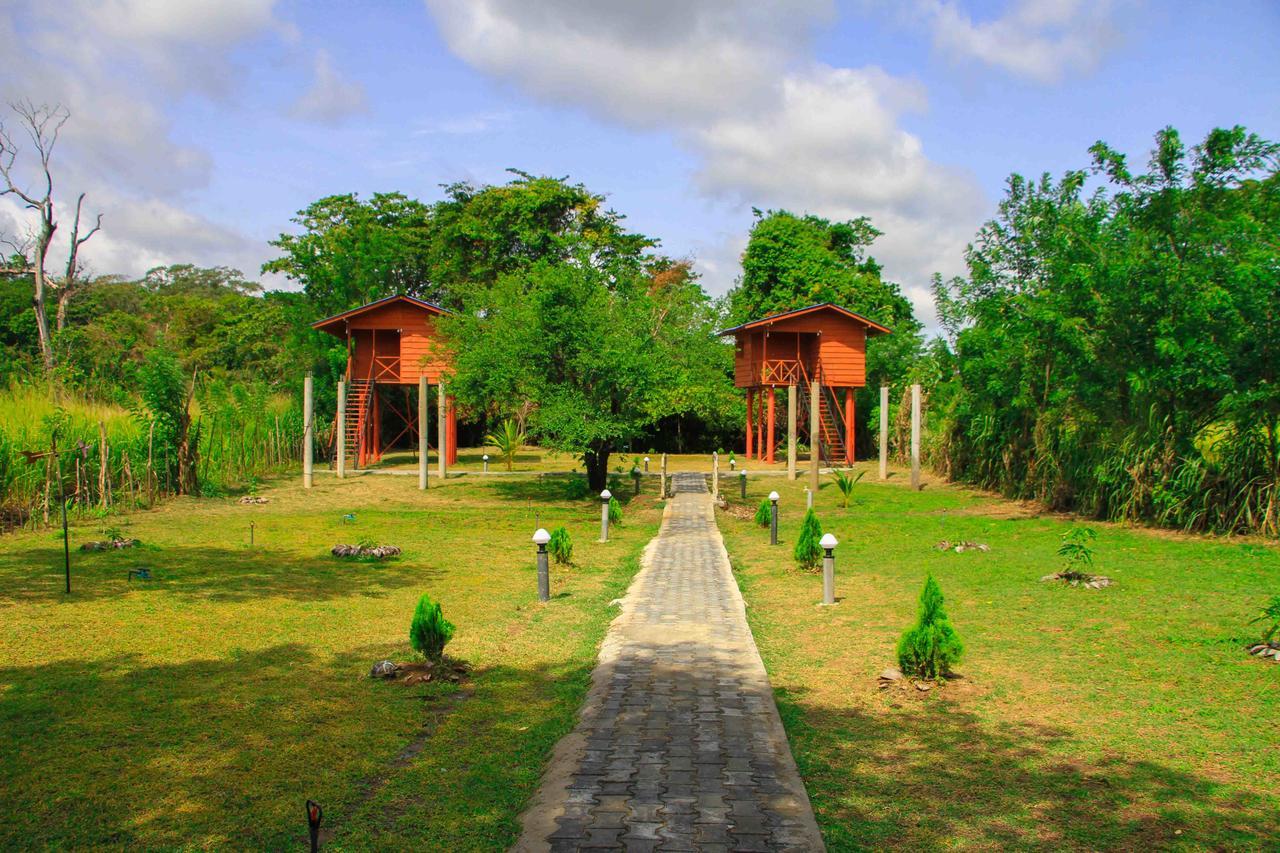 Sigiri Royal Point Tree House Hotell Sigiriya Exteriör bild