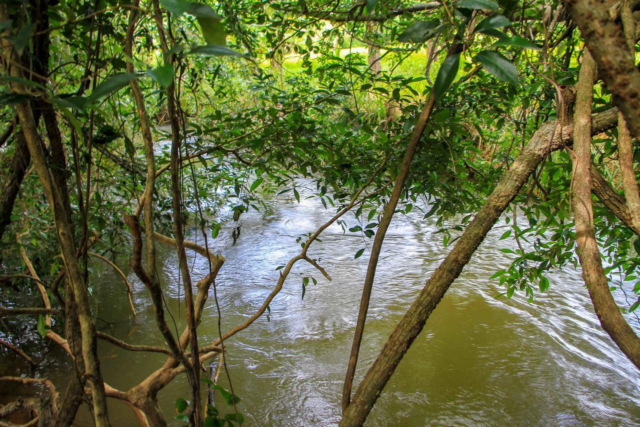 Sigiri Royal Point Tree House Hotell Sigiriya Exteriör bild