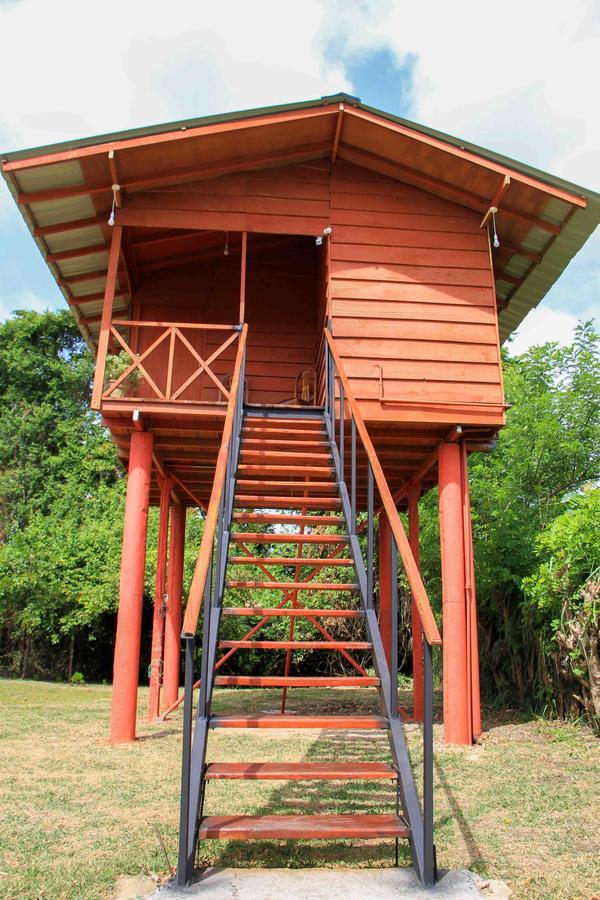 Sigiri Royal Point Tree House Hotell Sigiriya Exteriör bild