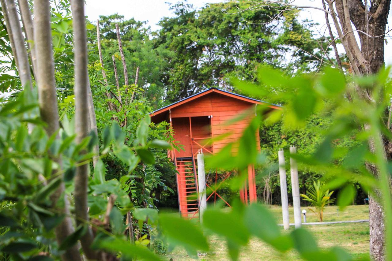 Sigiri Royal Point Tree House Hotell Sigiriya Exteriör bild