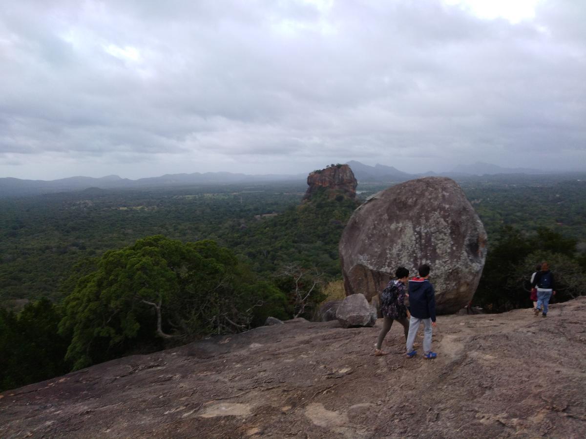 Sigiri Royal Point Tree House Hotell Sigiriya Exteriör bild